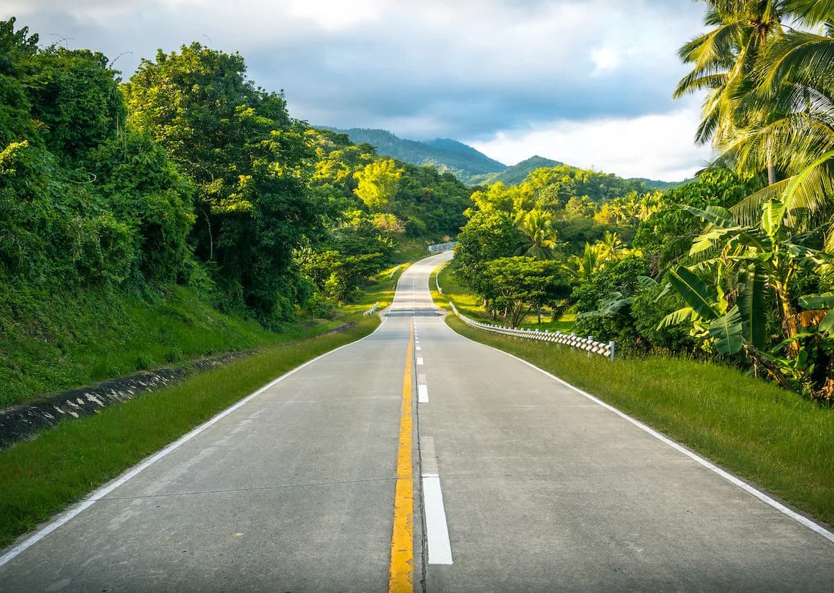 An open road surrounded by lush tropical greenery.